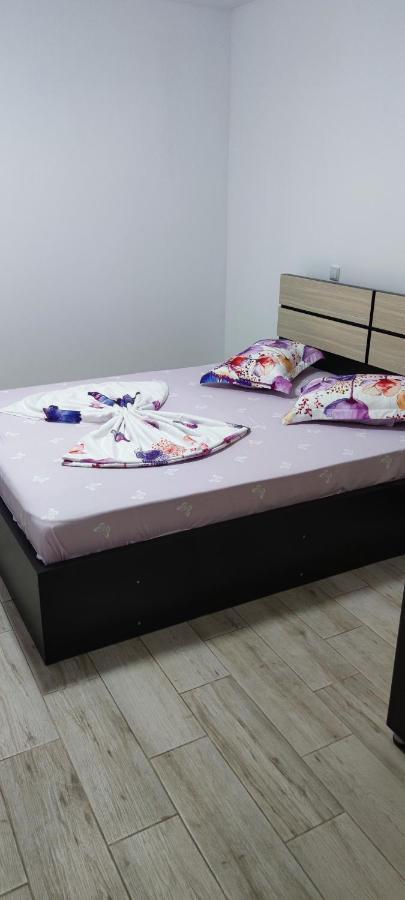 Vila Axel Costinesti Ngoại thất bức ảnh